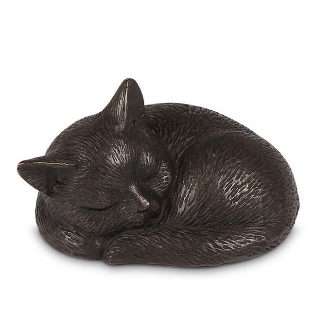 Bronze animal urn sleeping kitten