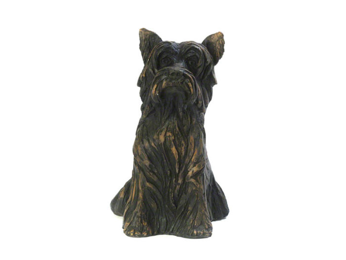 hund urne yorkshire terrier